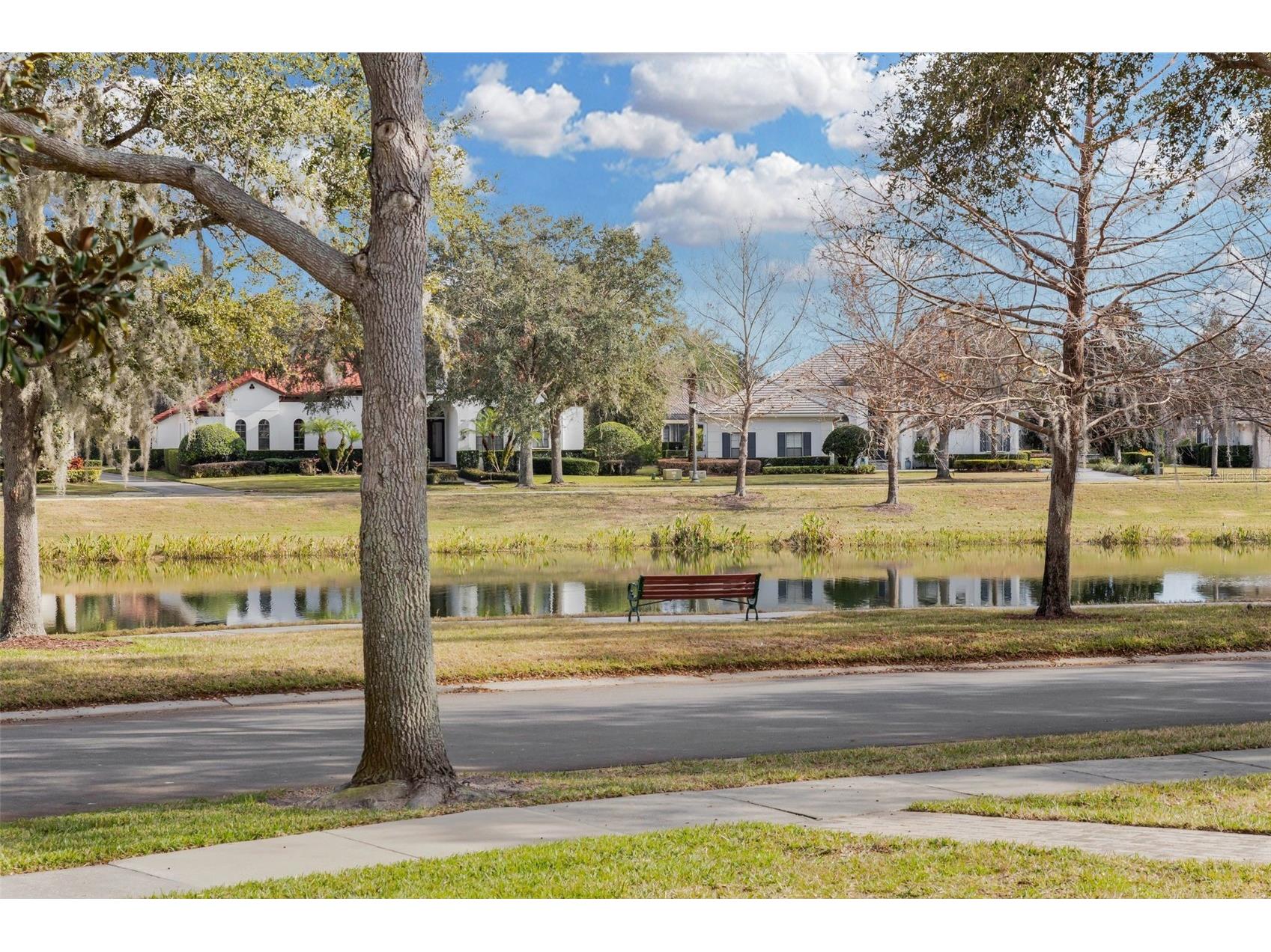 11413 Camden Park Drive Windermere FL 34786 O6417791 image58