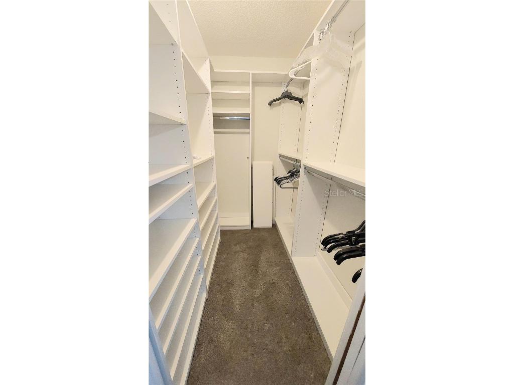 11413 Scallop Drive Port Richey FL 34668 U8254196 image19