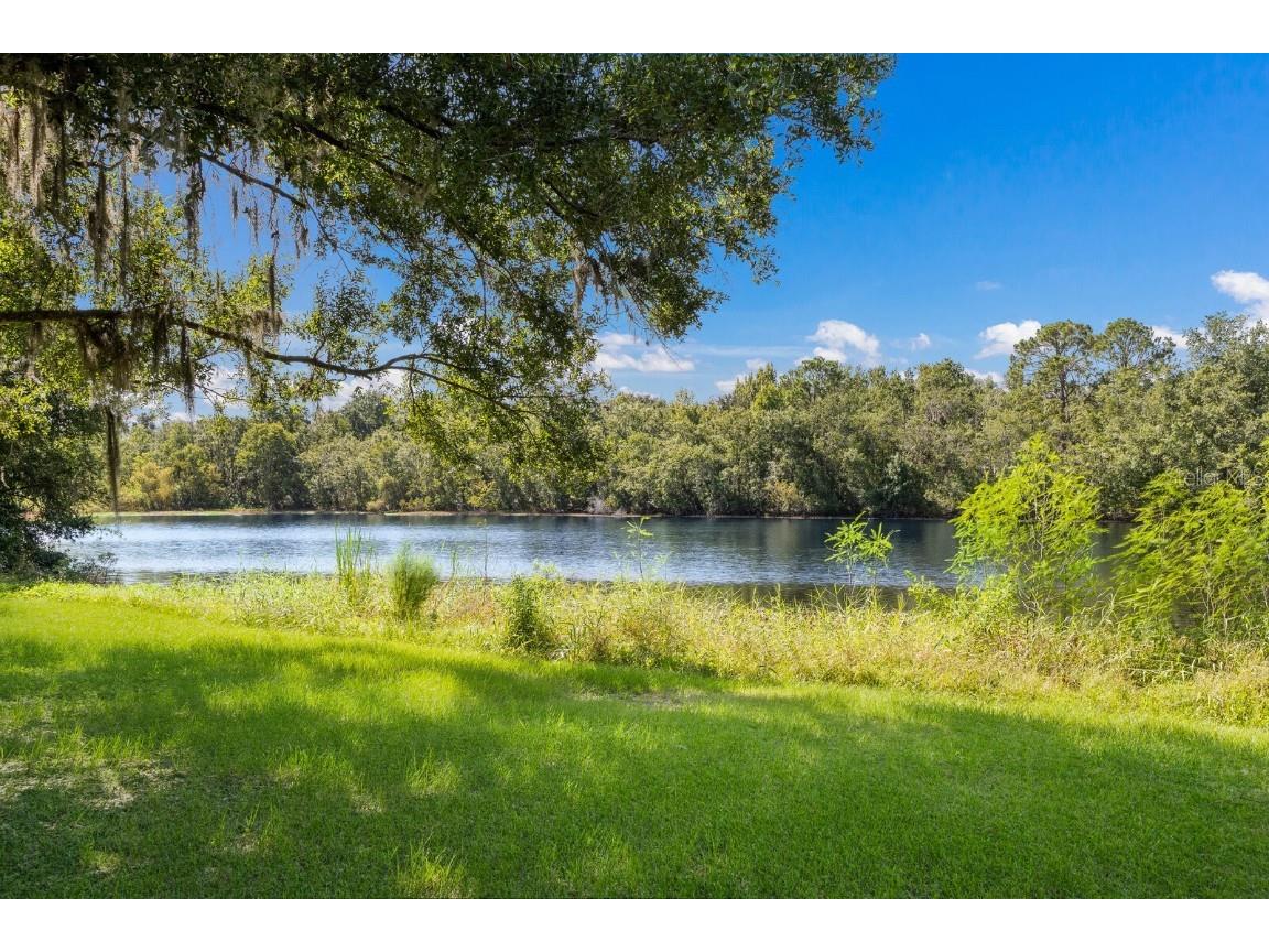 11414 Donneymoor Drive Riverview FL 33569 A4661313 image49