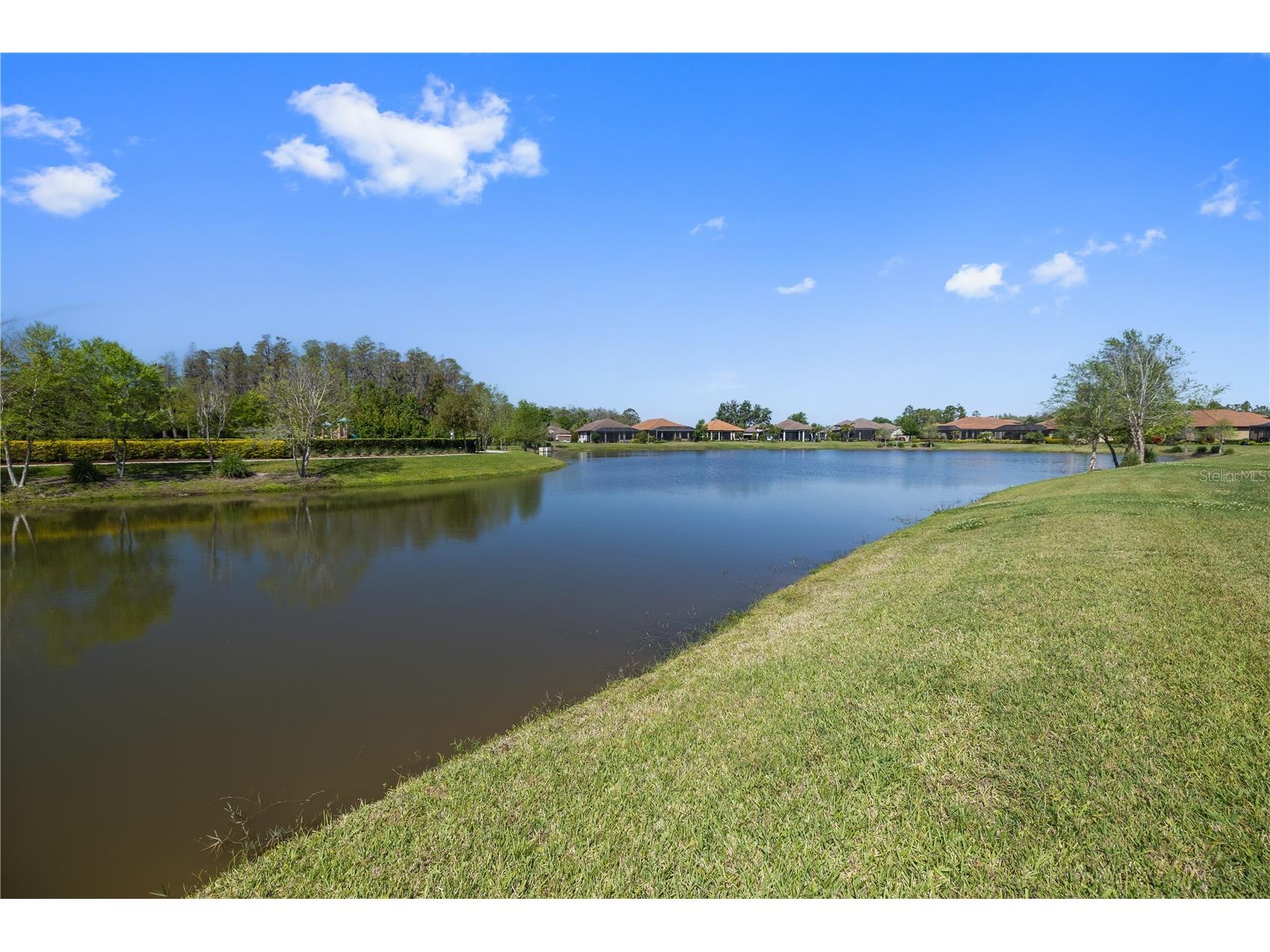 11414 Juglans Drive Odessa FL 33556 TB8483288 image35