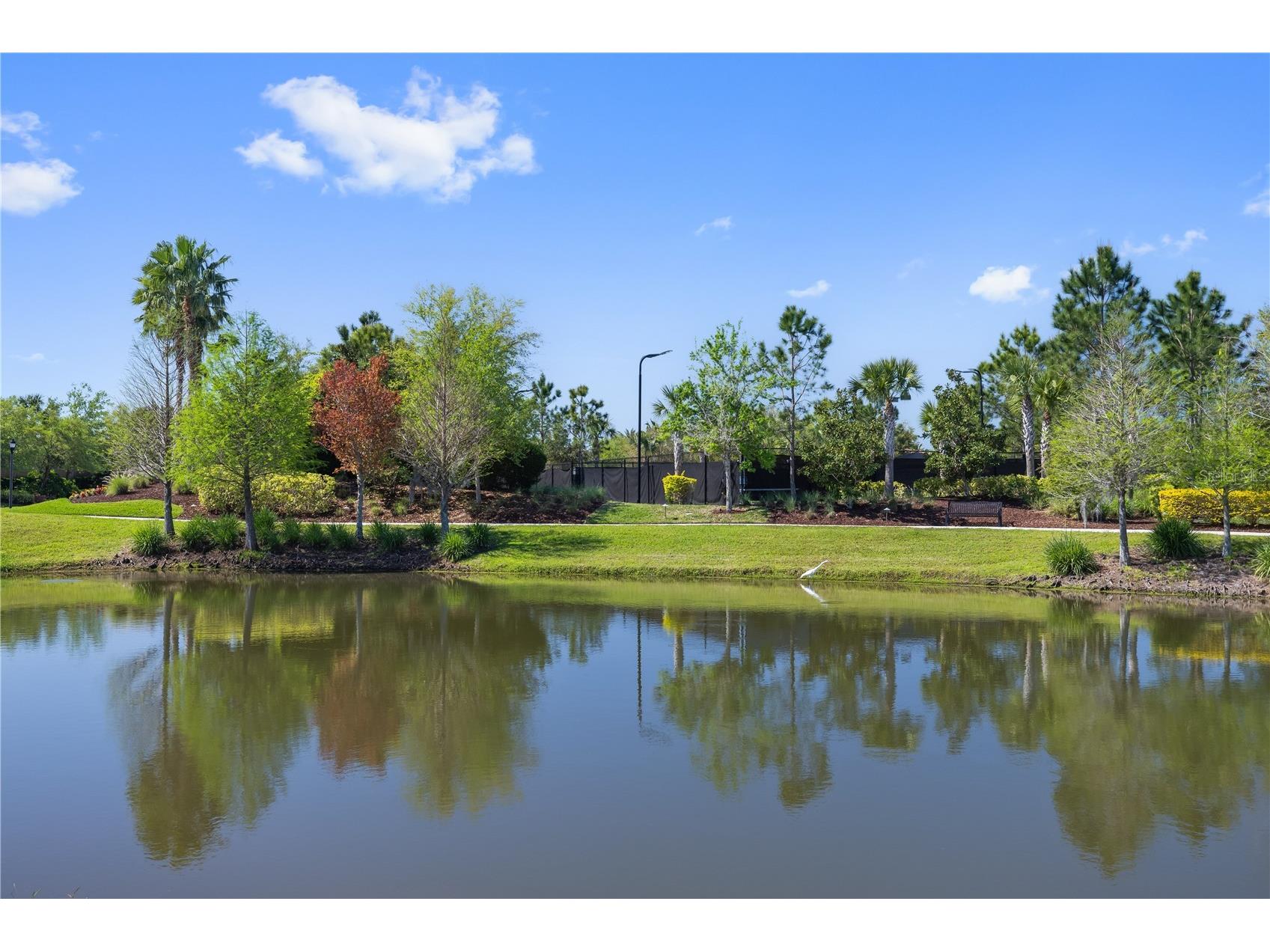 11414 Juglans Drive Odessa FL 33556 TB8483288 image36