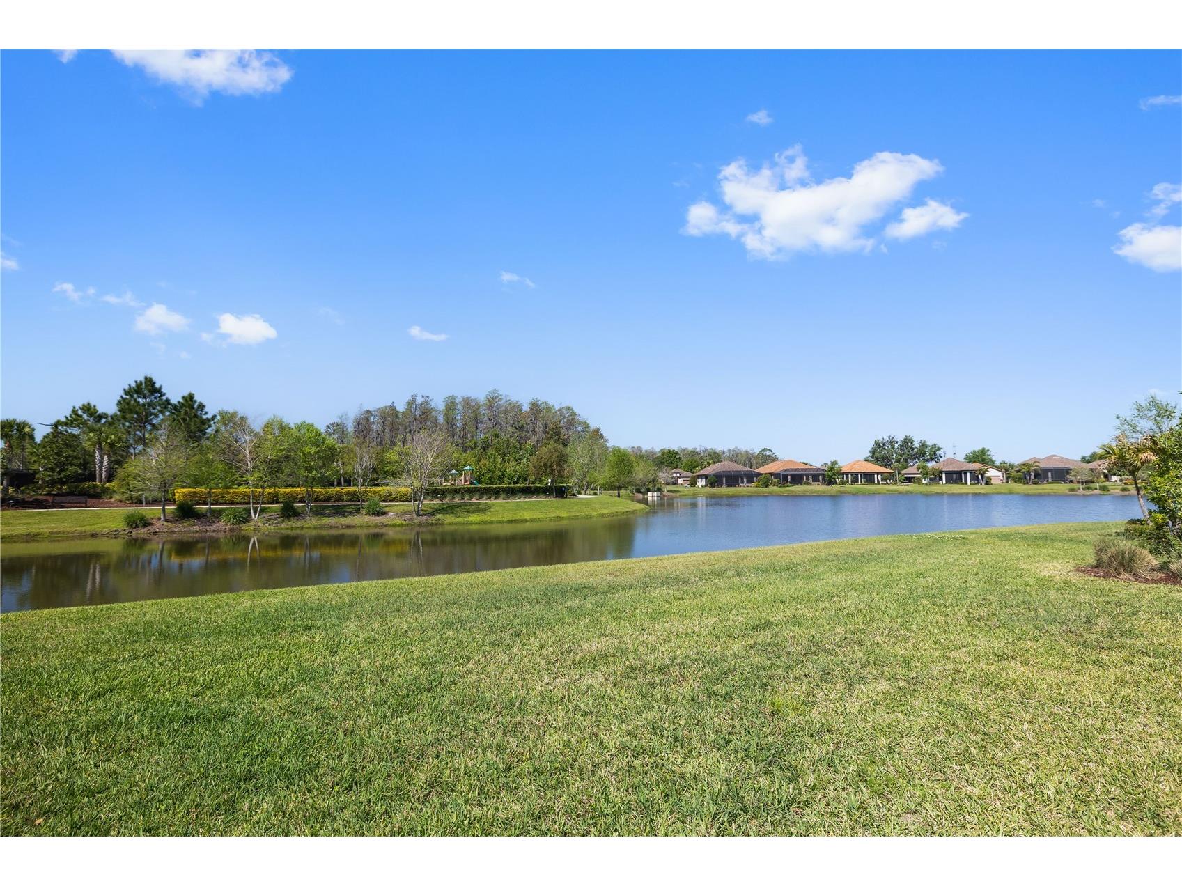 11414 Juglans Drive Odessa FL 33556 TB8483288 image37