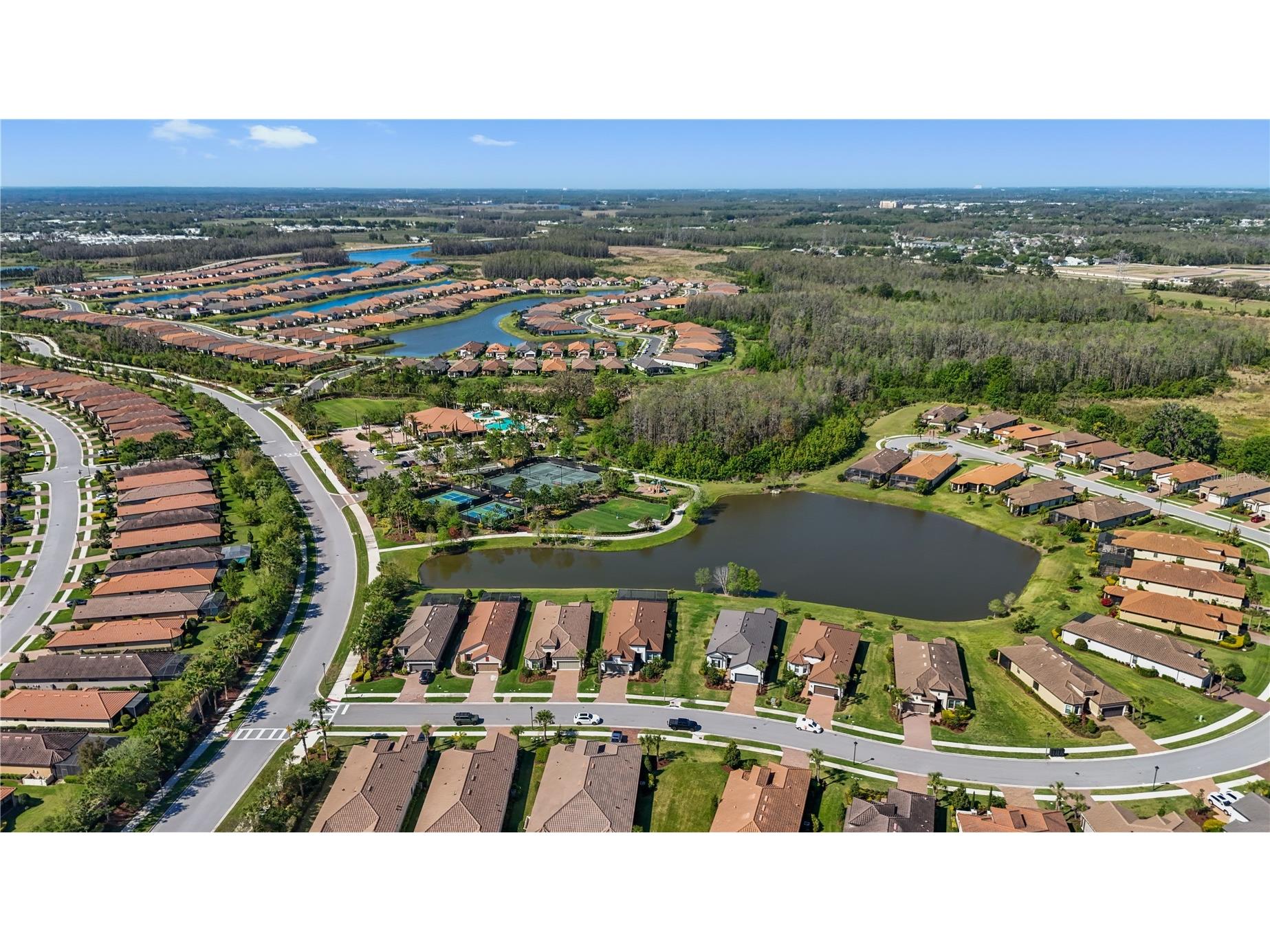 11414 Juglans Drive Odessa FL 33556 TB8483288 image40
