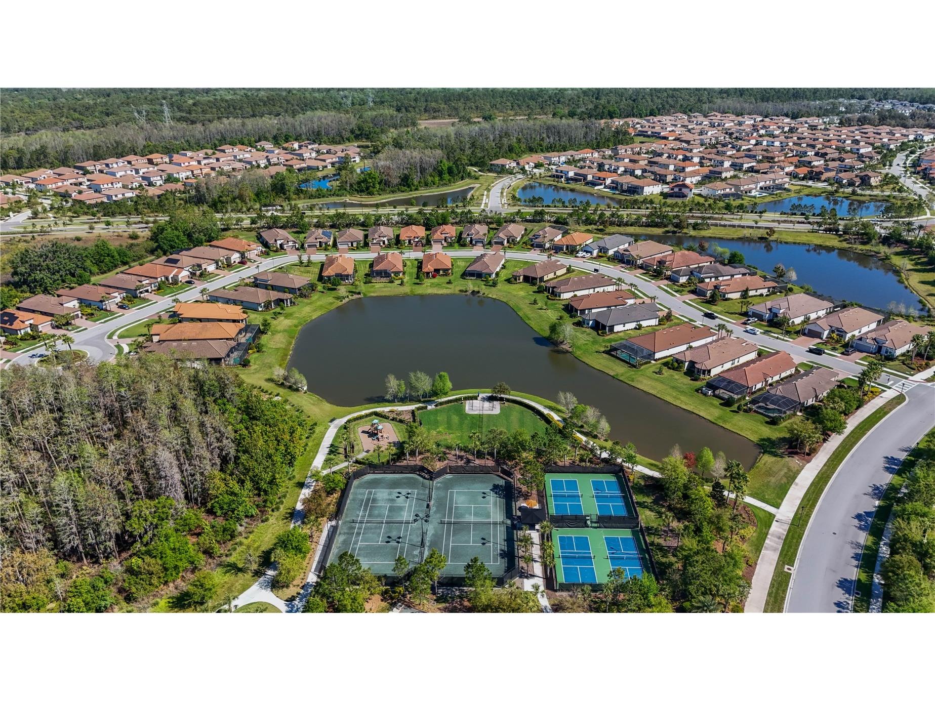 11414 Juglans Drive Odessa FL 33556 TB8483288 image42