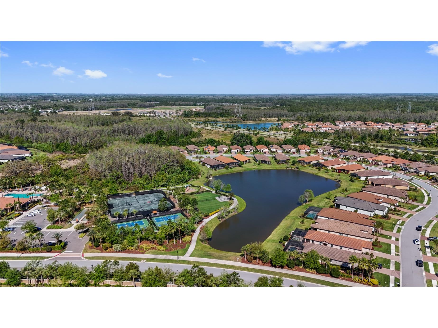 11414 Juglans Drive Odessa FL 33556 TB8483288 image45