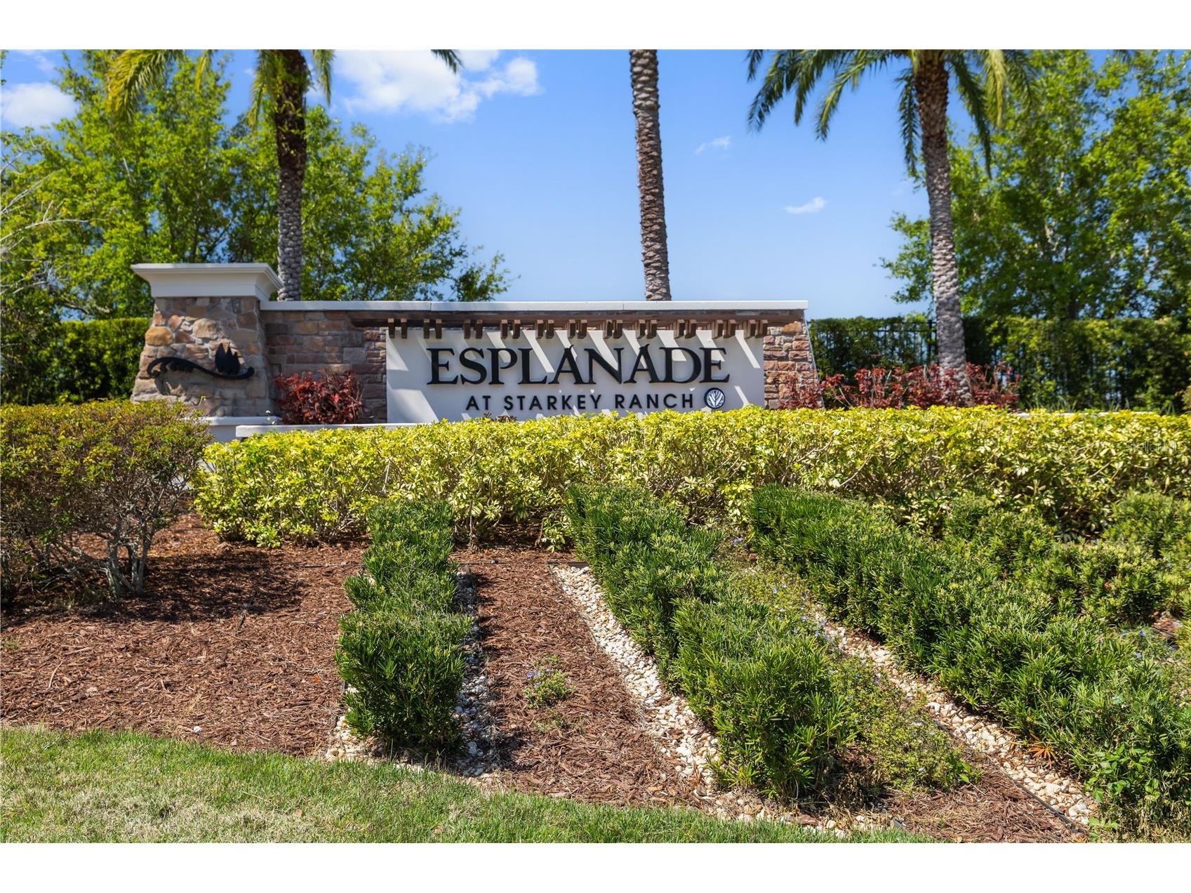 11414 Juglans Drive Odessa FL 33556 TB8483288 image48