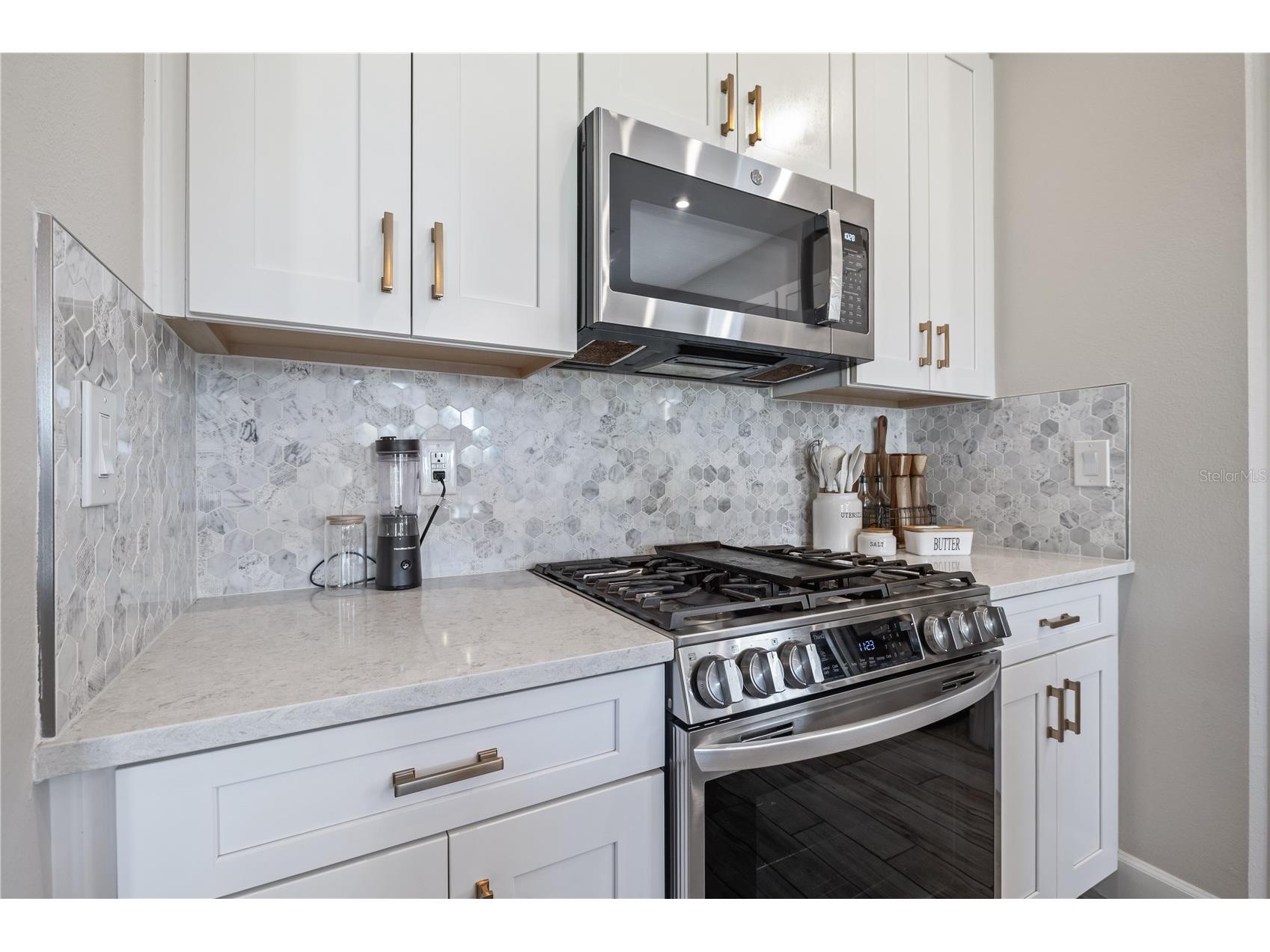 11414 Juglans Drive Odessa FL 33556 TB8483288 image8