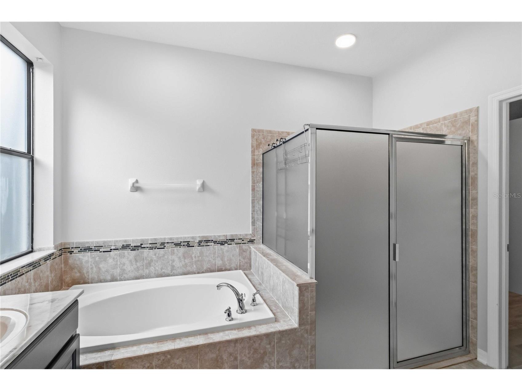 11415 Blue Crane Street Riverview FL 33569 TB8517936 image14