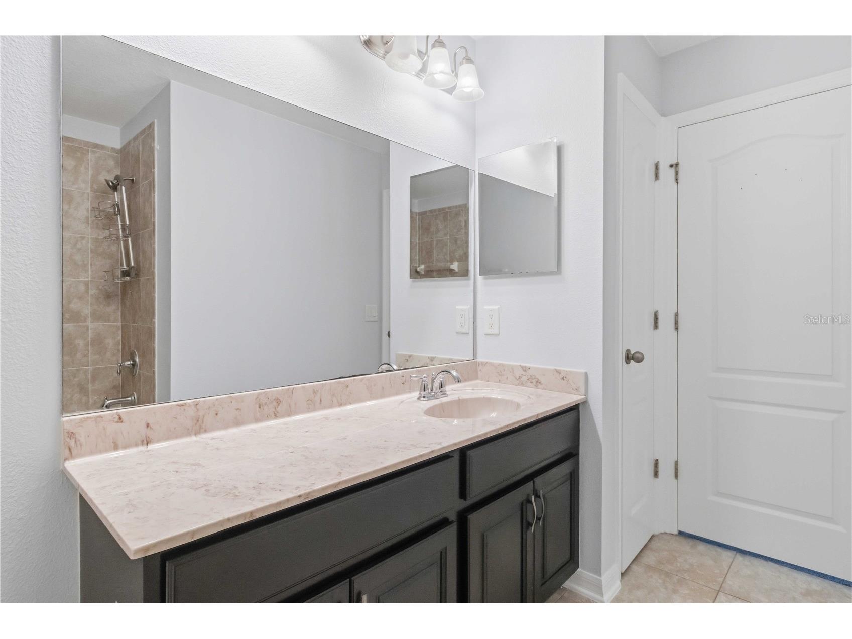 11415 Blue Crane Street Riverview FL 33569 TB8517936 image35