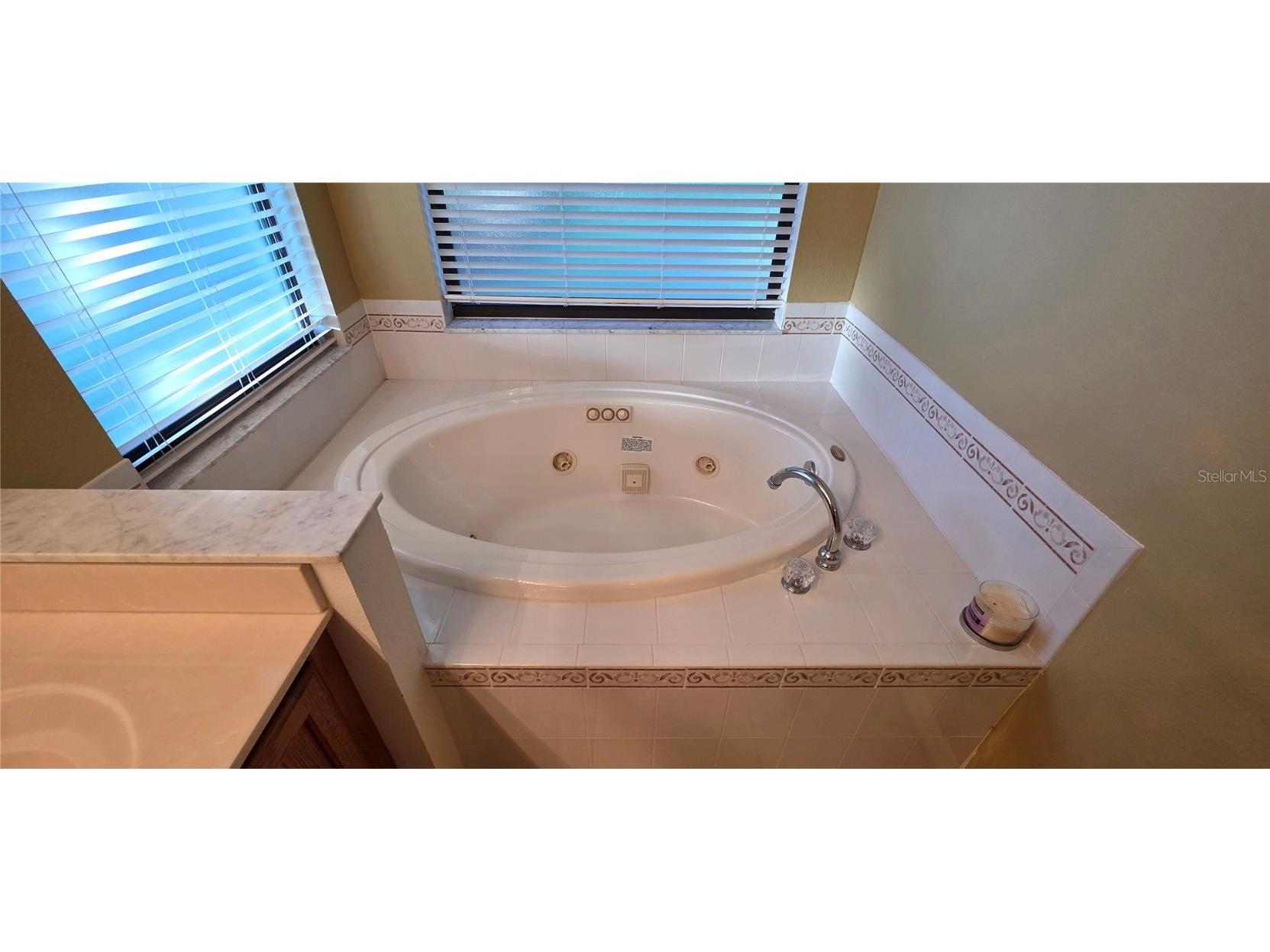 11415 Kingstree Court Spring Hill FL 34609 TB8446780 image44