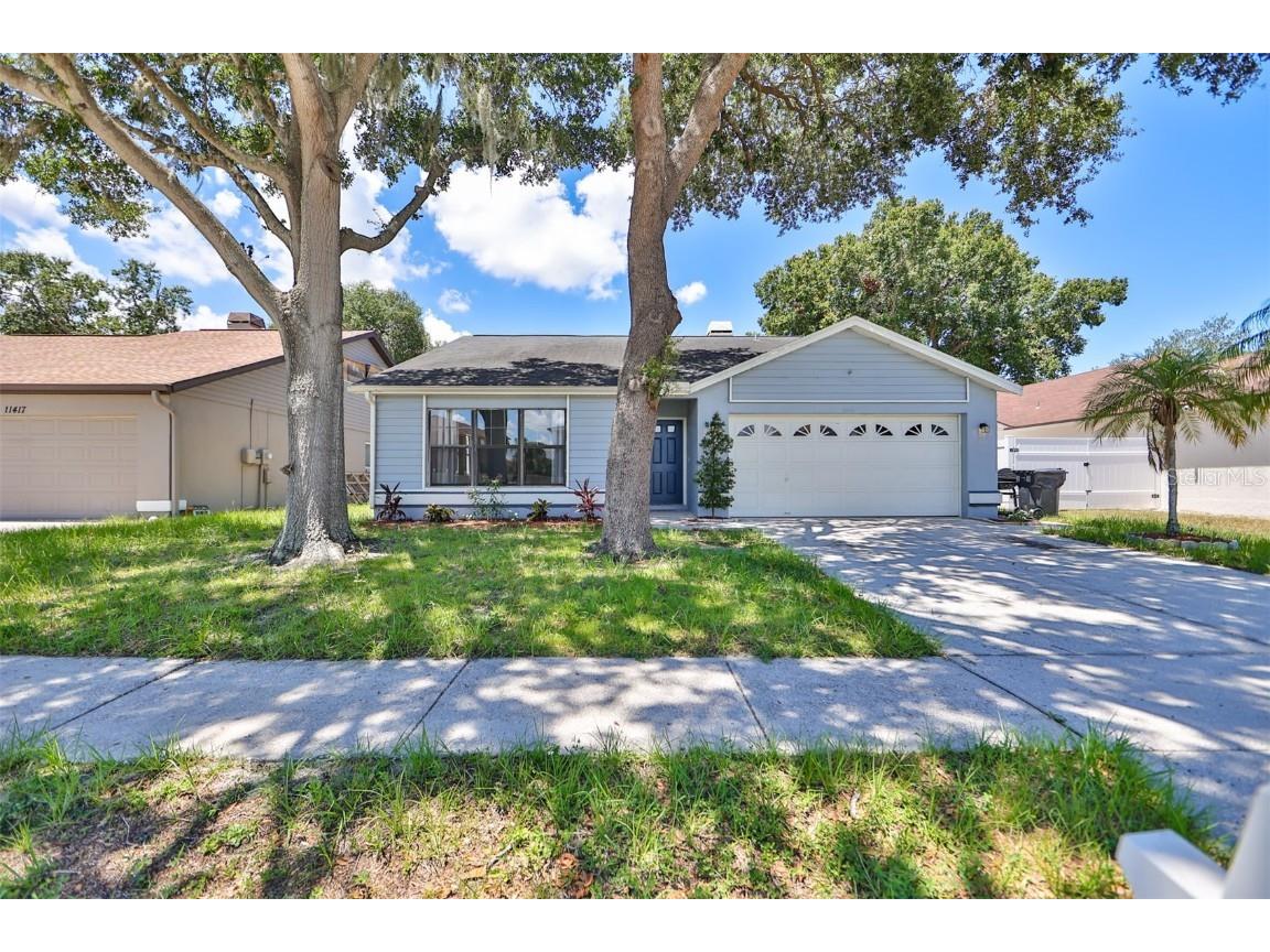 11415 Smokethorn Drive Riverview FL 33579 T3457560 image1