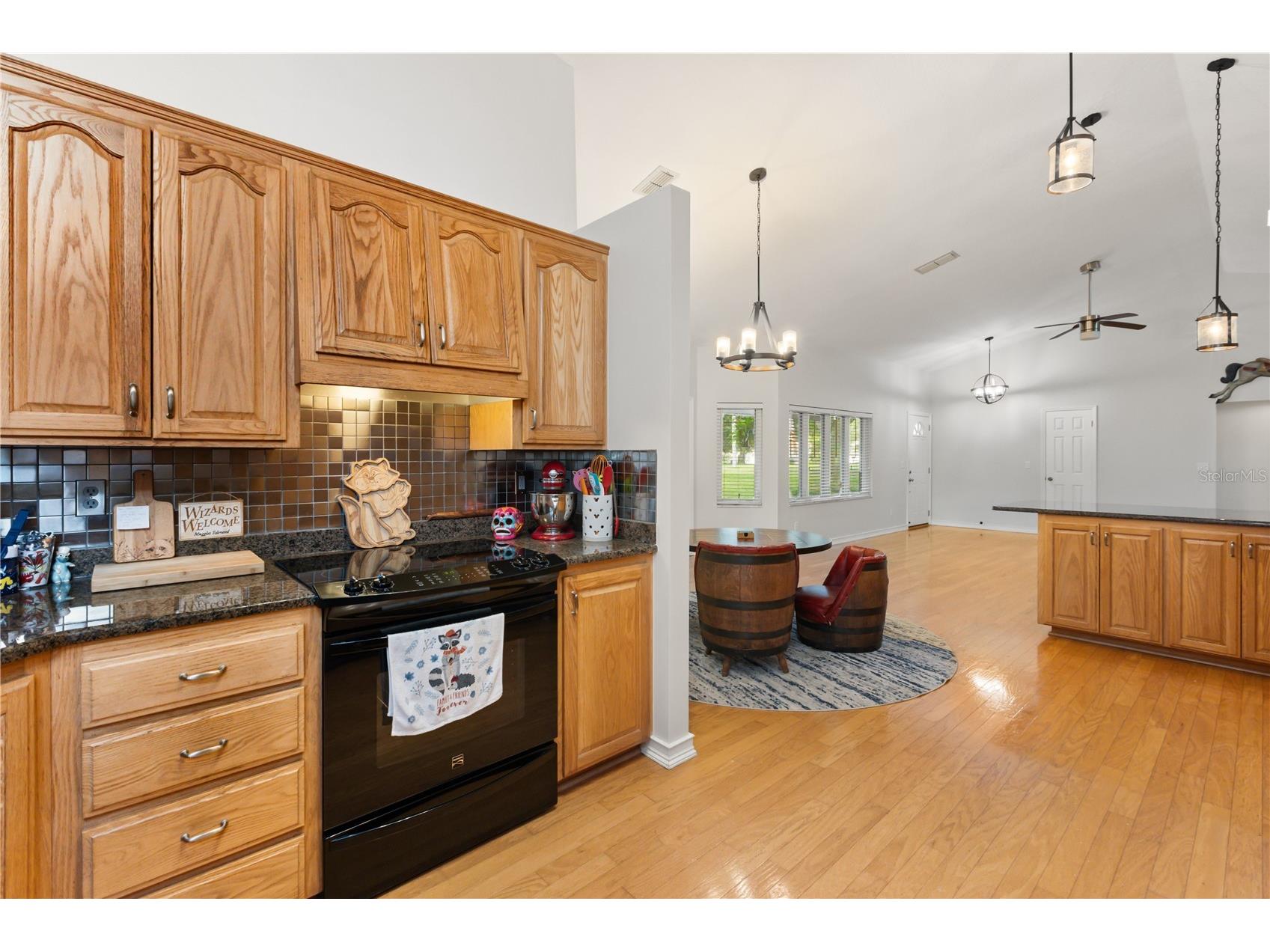 11415 Tuscarora Lane Minneola FL 34715 S5148272 image10