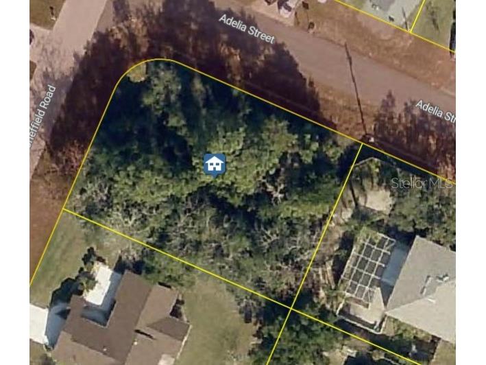 11416 Adelia Street Spring Hill FL 34608 C7527149 image2