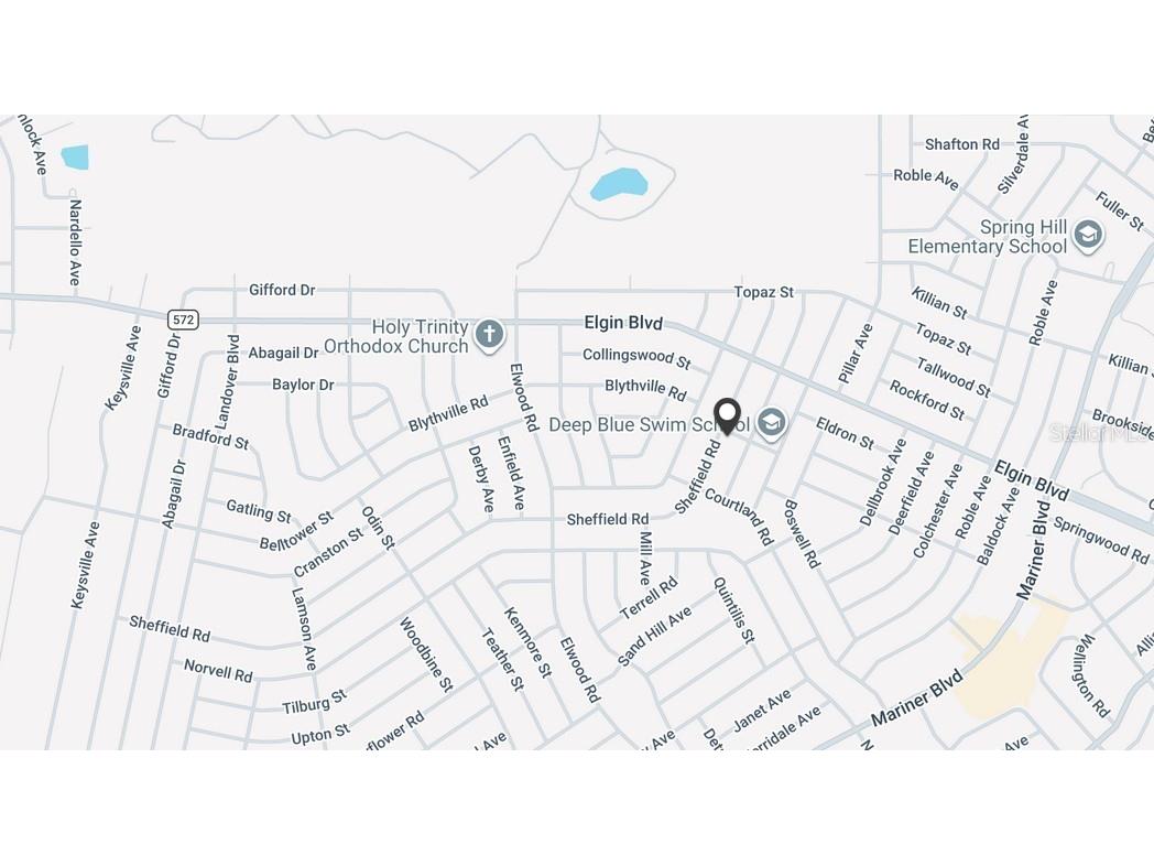 11416 Adelia Street Spring Hill FL 34608 C7527149 image6