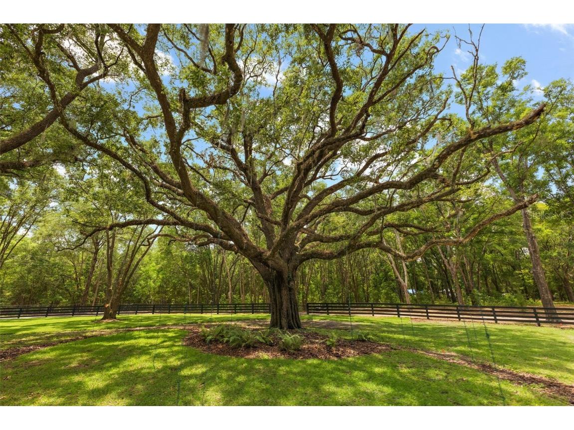 11416 NW State Road 45 High Springs FL 32643 OM701704 image90