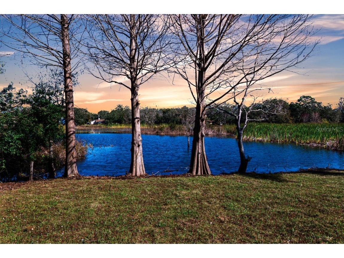 11416 Pine Forest Drive New Port Richey FL 34654 TB8343120 image2