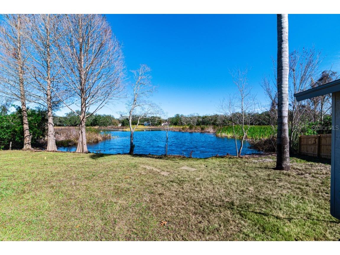 11416 Pine Forest Drive New Port Richey FL 34654 TB8343120 image30