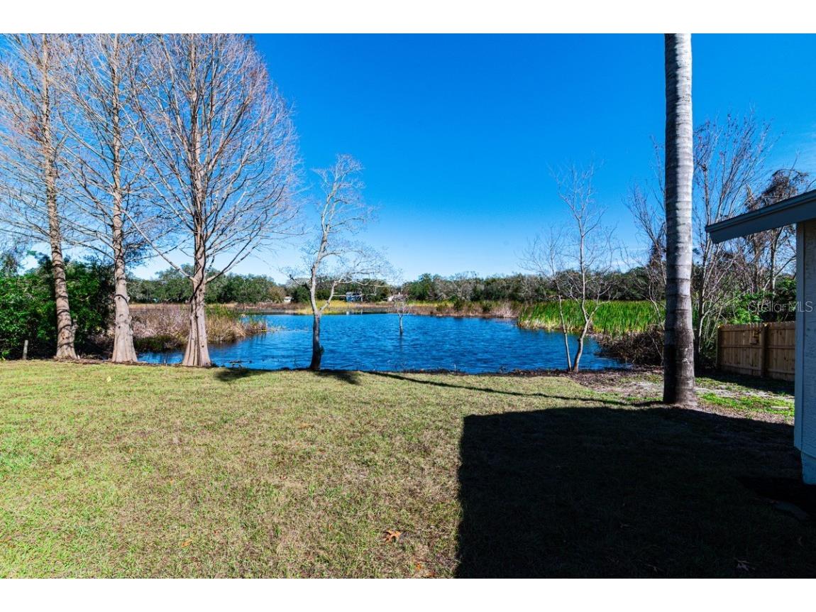 11416 Pine Forest Drive New Port Richey FL 34654 TB8343120 image31