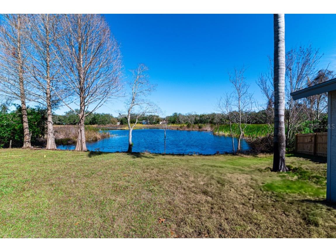11416 Pine Forest Drive New Port Richey FL 34654 TB8343120 image32