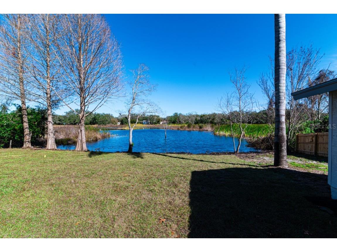 11416 Pine Forest Drive New Port Richey FL 34654 TB8343120 image33