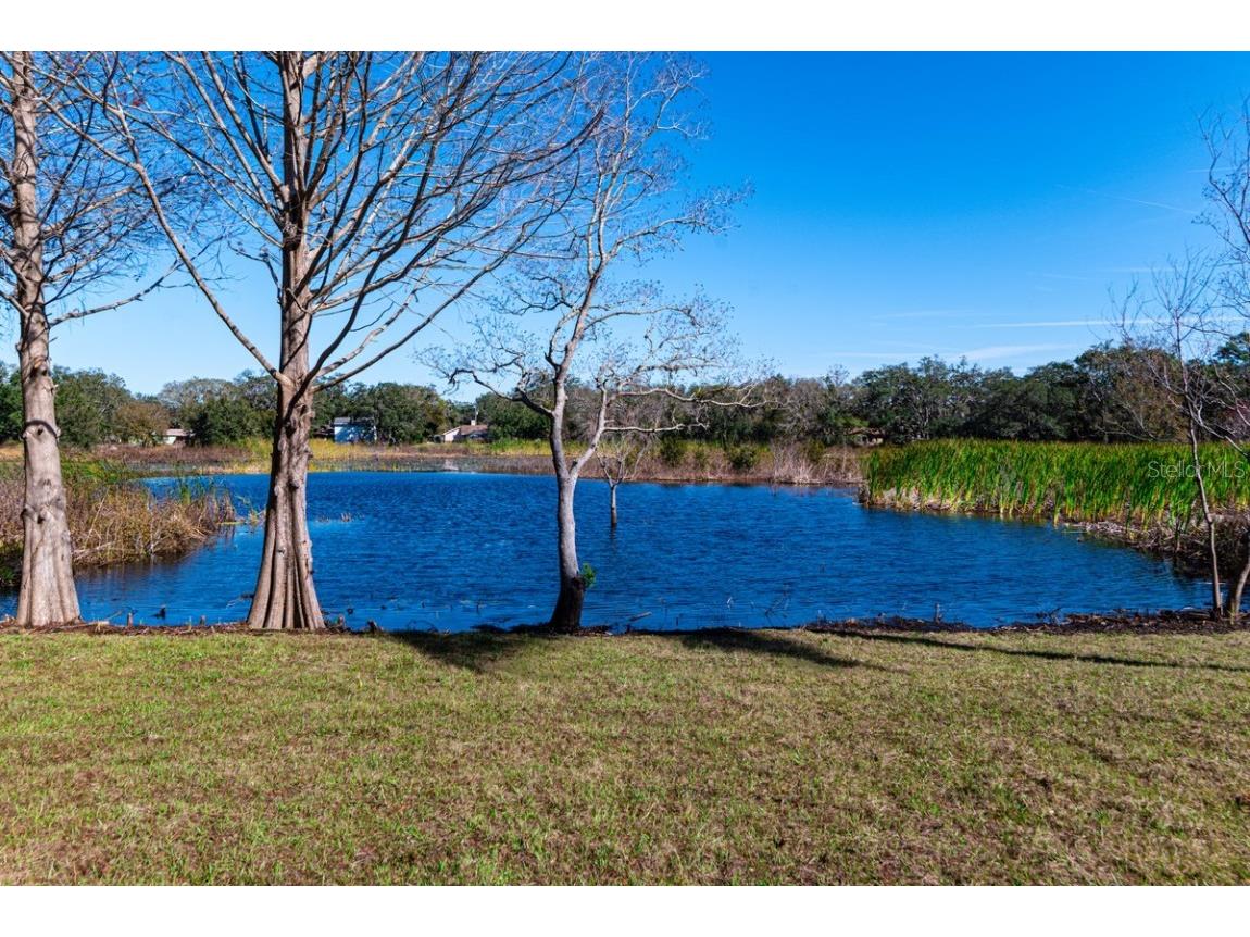 11416 Pine Forest Drive New Port Richey FL 34654 TB8343120 image34