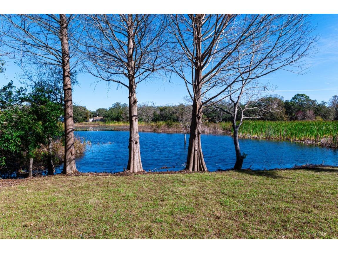 11416 Pine Forest Drive New Port Richey FL 34654 TB8343120 image36