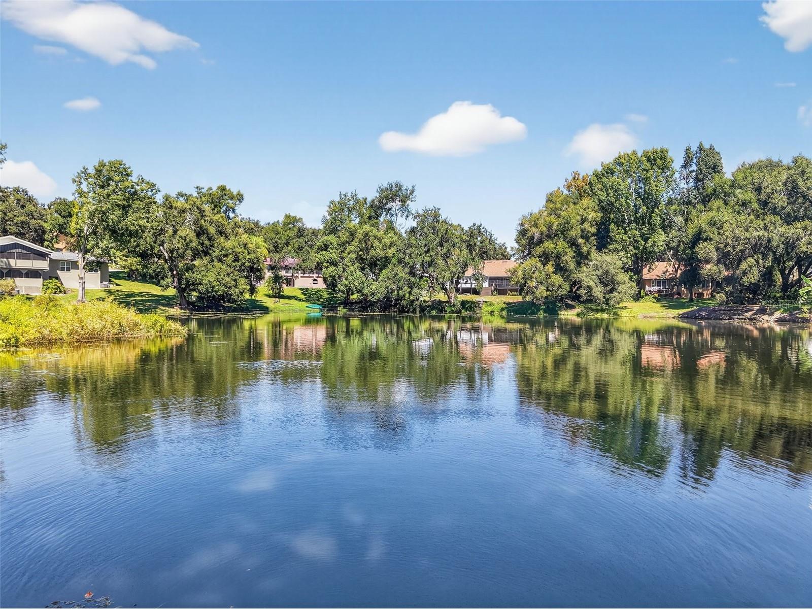 11417 Lake Minneola Shores Minneola FL 34715 - LAKE MINNEOLA GC534305 image11