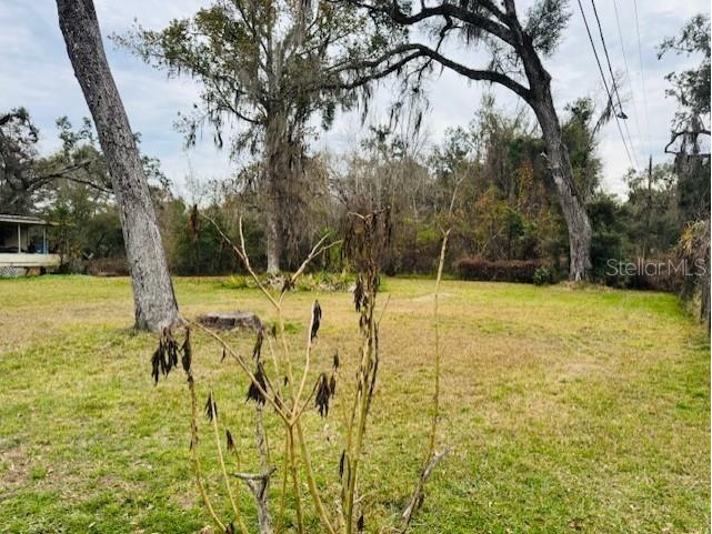 11417 SW 42nd Terrace Webster FL 33597 G5106758 image18
