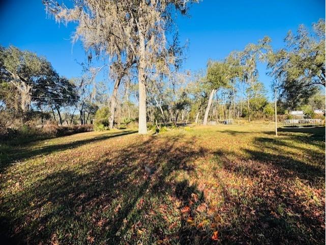 11417 SW 42nd Terrace Webster FL 33597 G5106758 image23