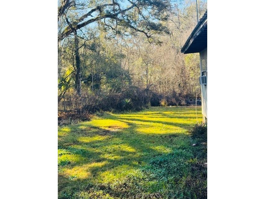 11417 SW 42nd Terrace Webster FL 33597 G5106758 image29
