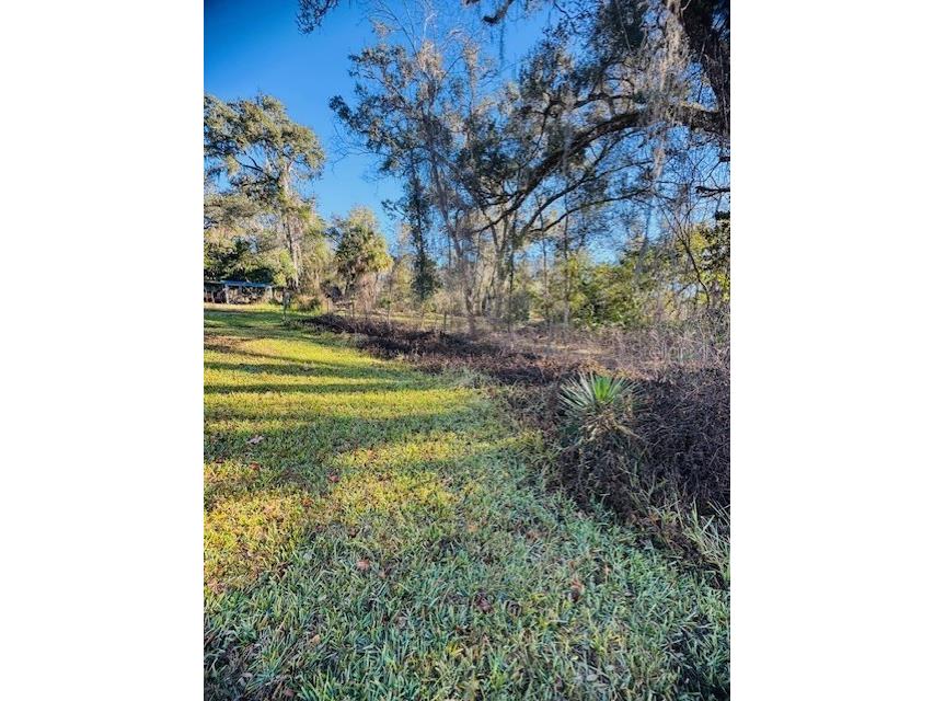 11417 SW 42nd Terrace Webster FL 33597 G5106758 image32