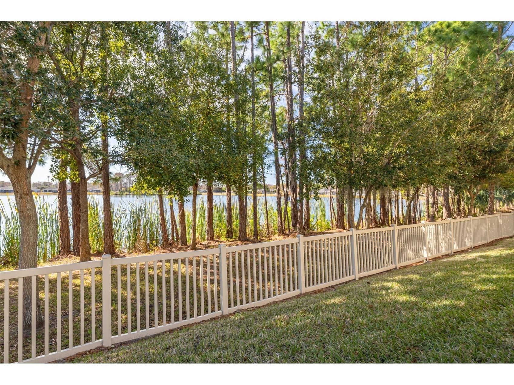 11418 Crowned Sparrow Lane Tampa FL 33626 TB8474236 image28