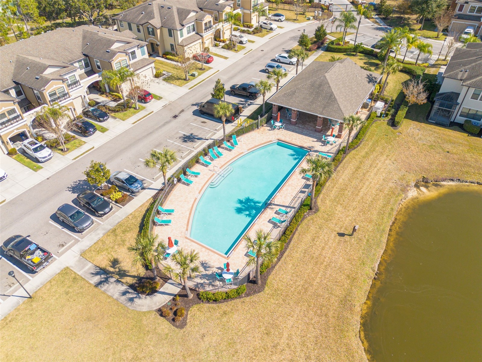 11418 Crowned Sparrow Lane Tampa FL 33626 TB8474236 image31