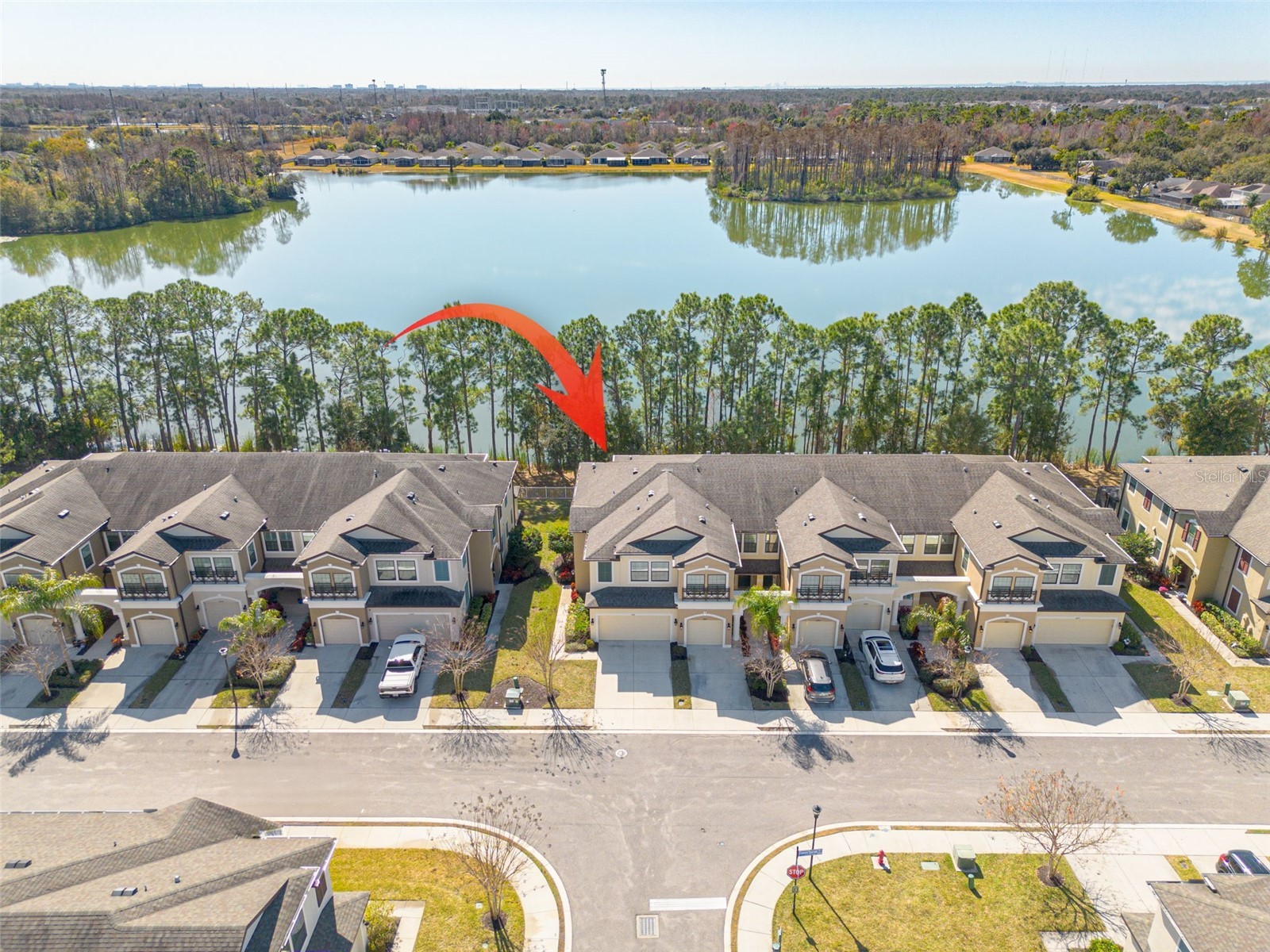 11418 Crowned Sparrow Lane Tampa FL 33626 TB8474236 image34