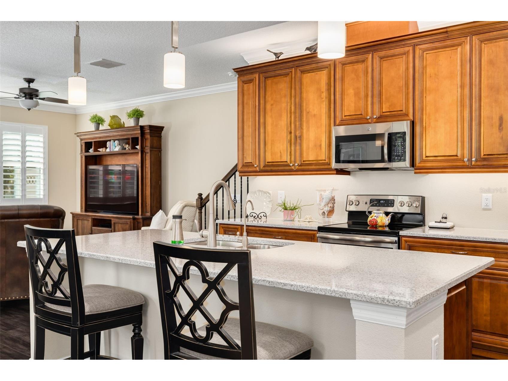 11418 Crowned Sparrow Lane Tampa FL 33626 TB8474236 image4