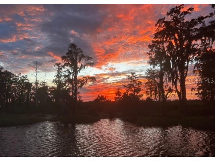 11418 Cypress Drive Clermont FL 34711 - MINNEHAHA - CLERMONT CHAIN G5102082 image81