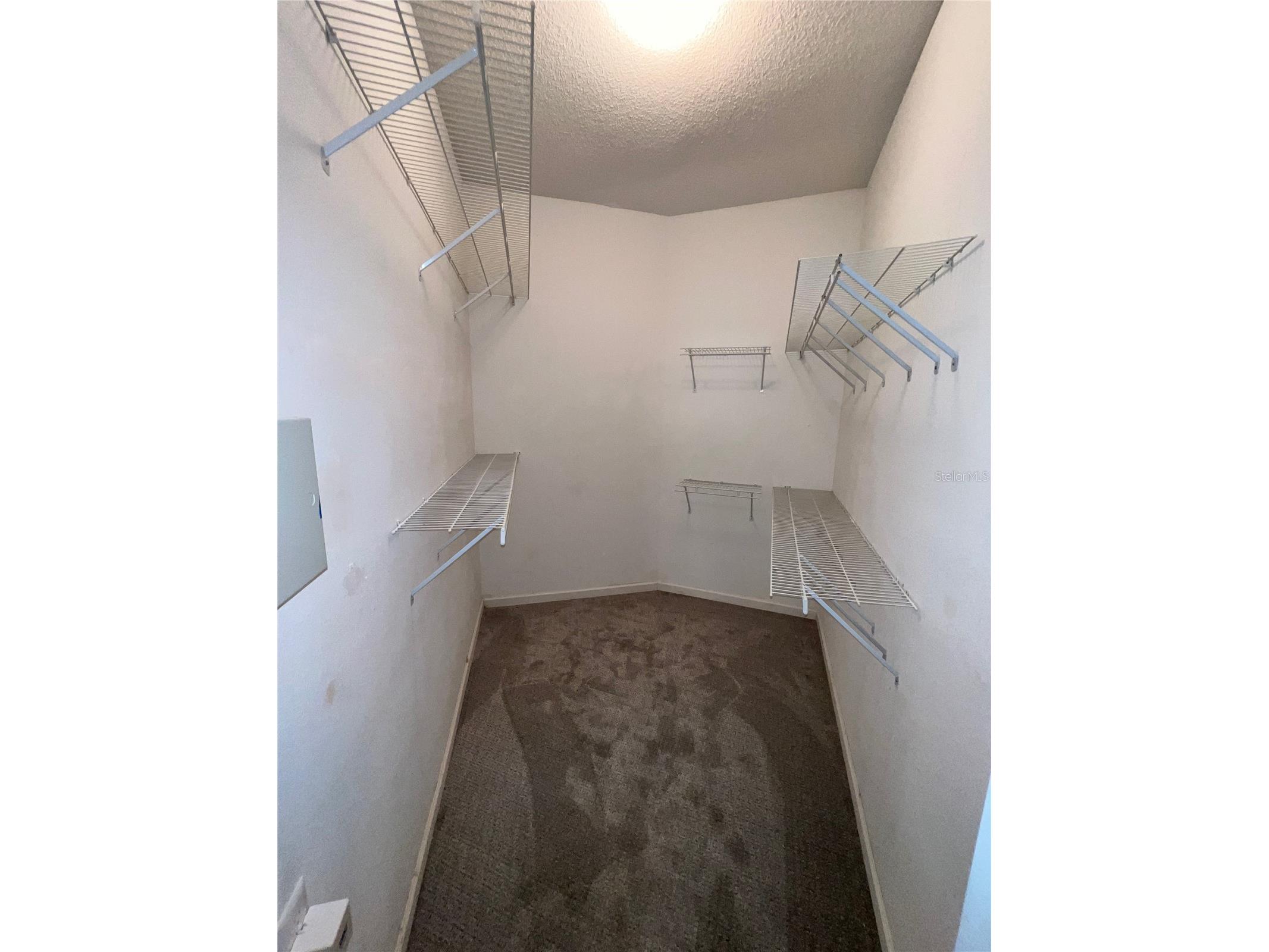 11418 Glenmont Drive Tampa FL 33635 TB8459844 image35