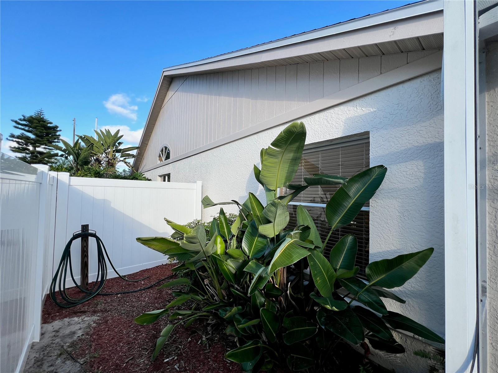 11418 Glenmont Drive Tampa FL 33635 TB8459844 image52
