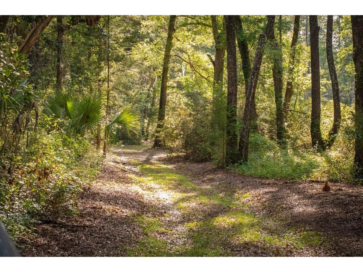 11418 NW 161st Street Alachua FL 32615 GC540376 image13