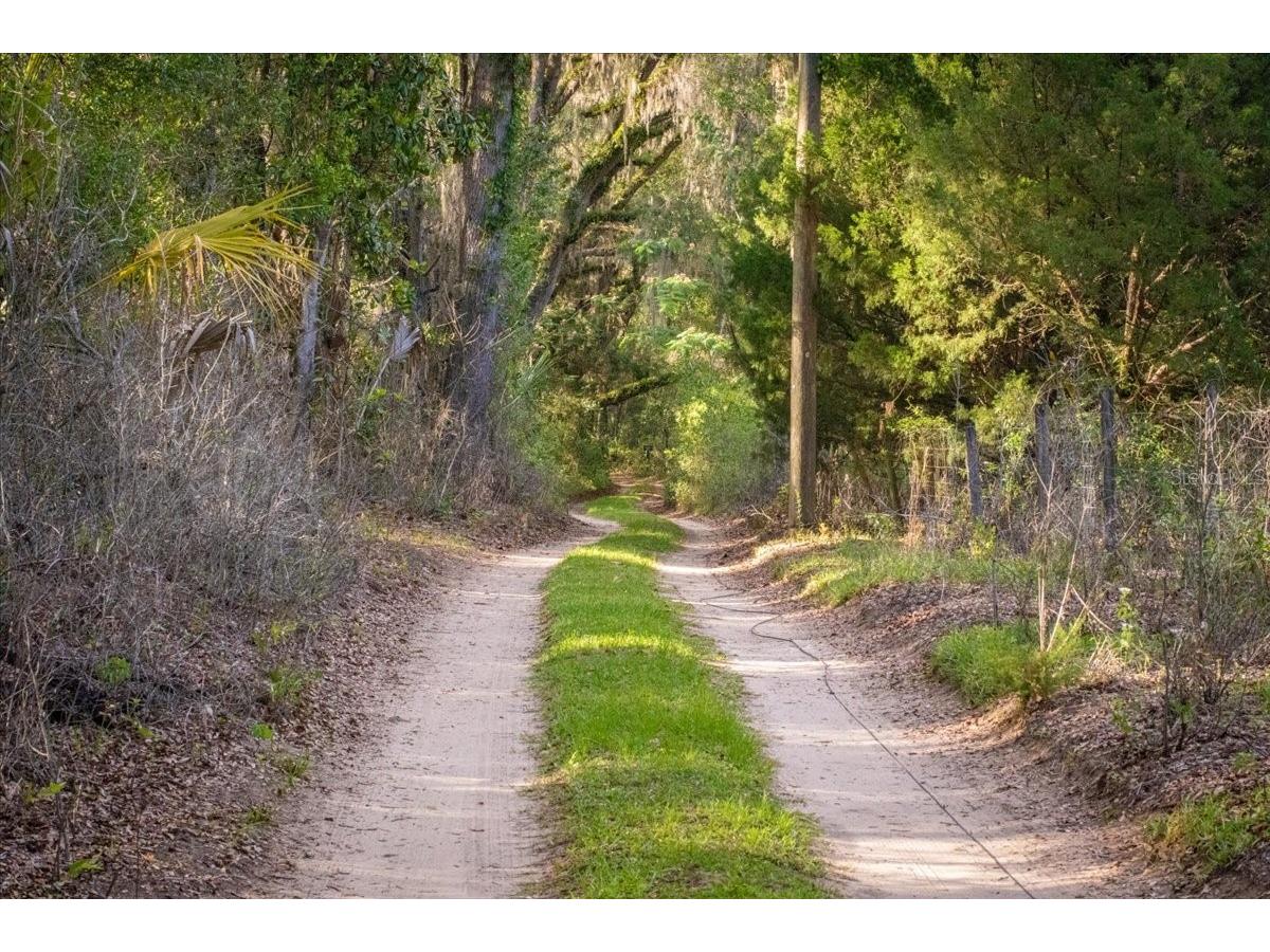 11418 NW 161st Street Alachua FL 32615 GC540376 image14