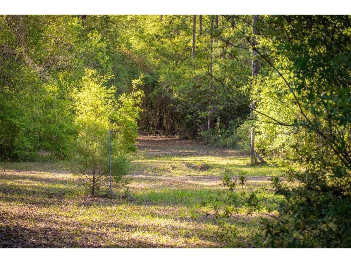 11418 NW 161st Street Alachua FL 32615 GC540376 image2