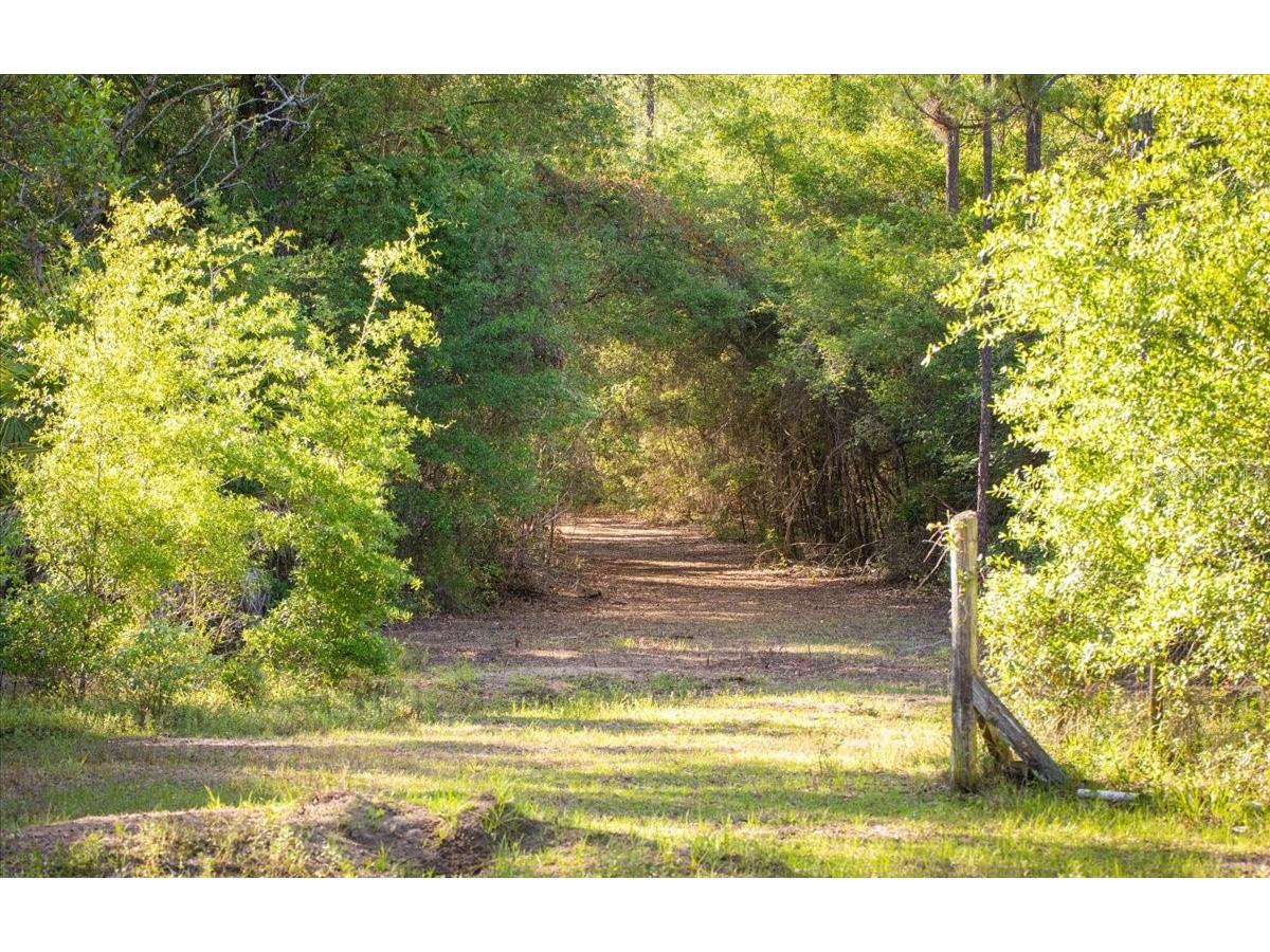 11418 NW 161st Street Alachua FL 32615 GC540376 image3