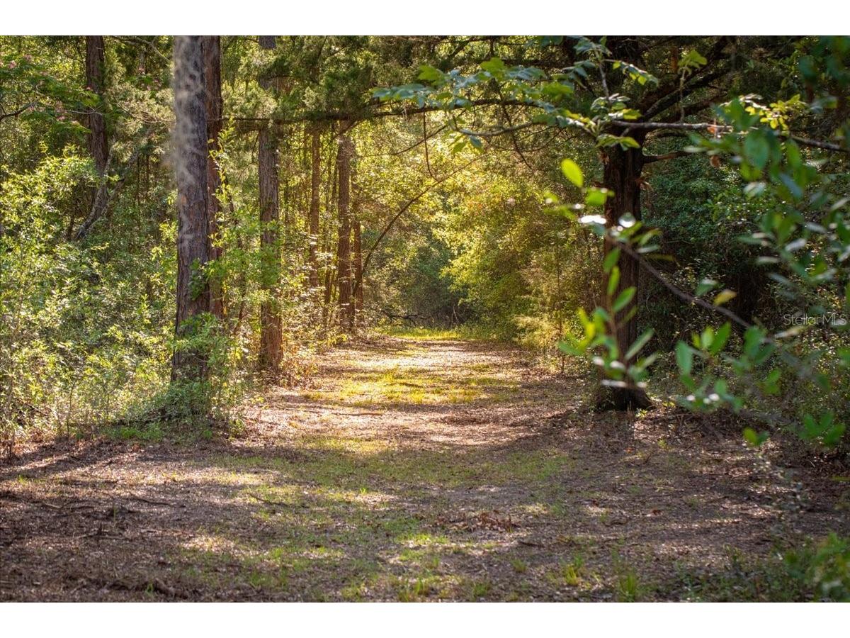 11418 NW 161st Street Alachua FL 32615 GC540376 image4