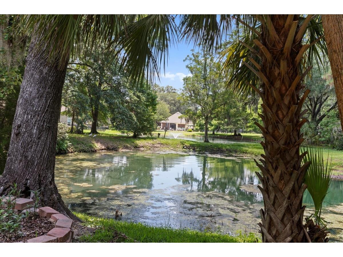 11418 Palmetto Boulevard Alachua FL 32615 GC541457 image35