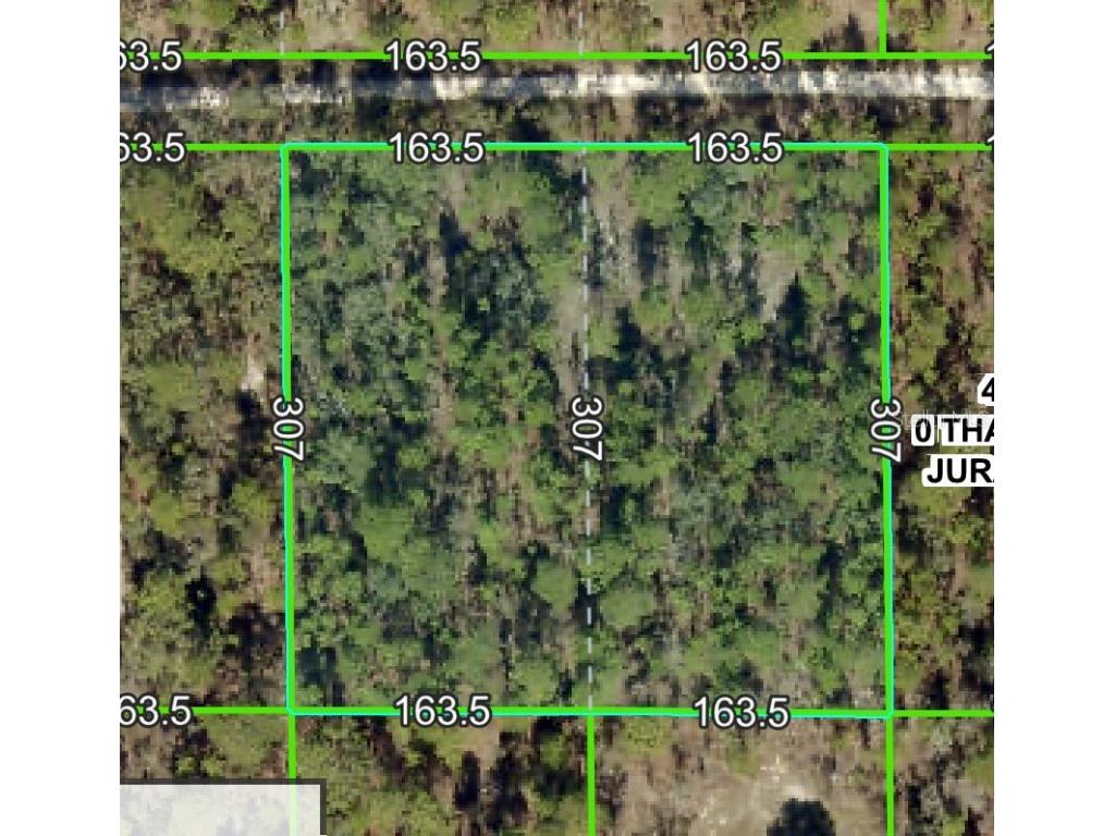 11418 Thames Avenue Weeki Wachee FL 34614 TB8374034 image1