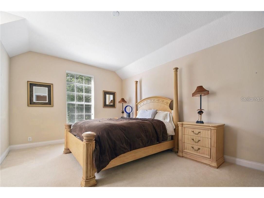 11419 Camden Park Drive Windermere FL 34786 O6392667 image23