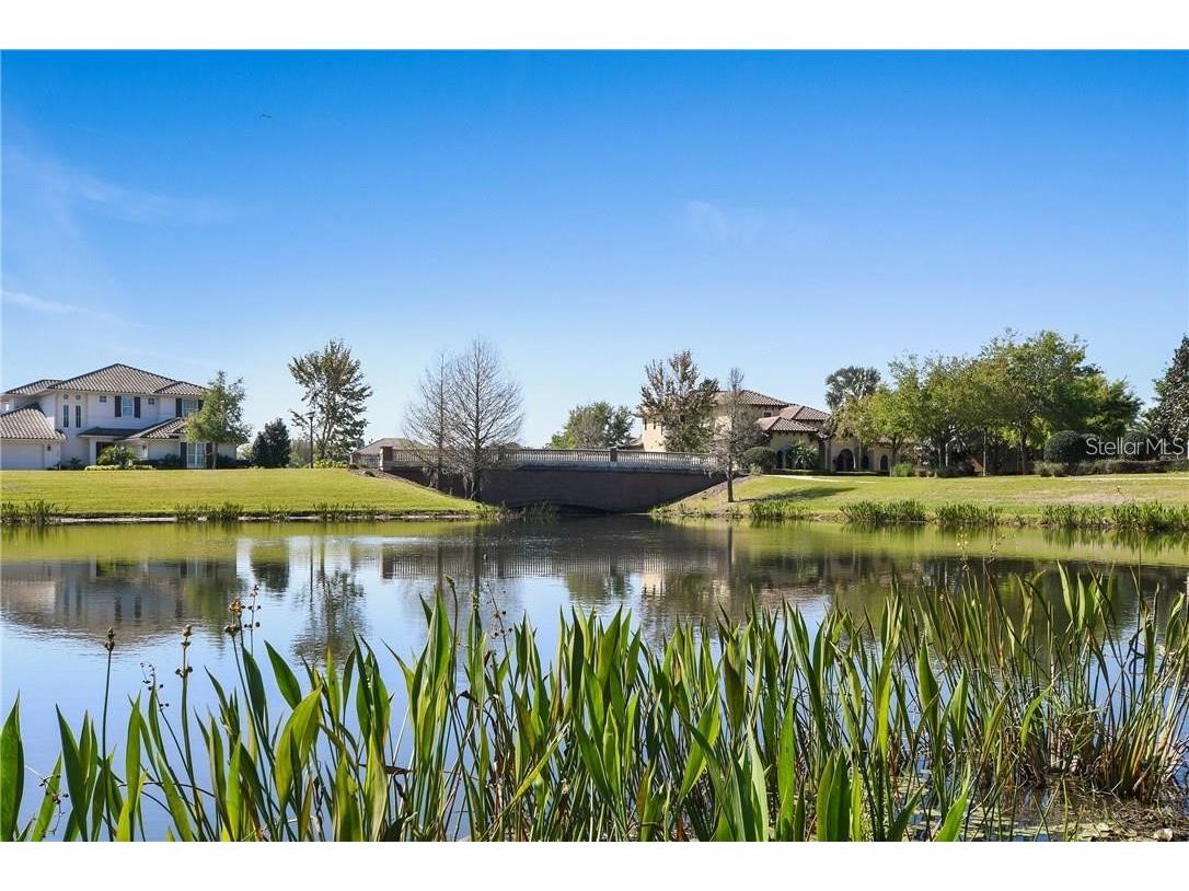 11419 Camden Park Drive Windermere FL 34786 O6392667 image3