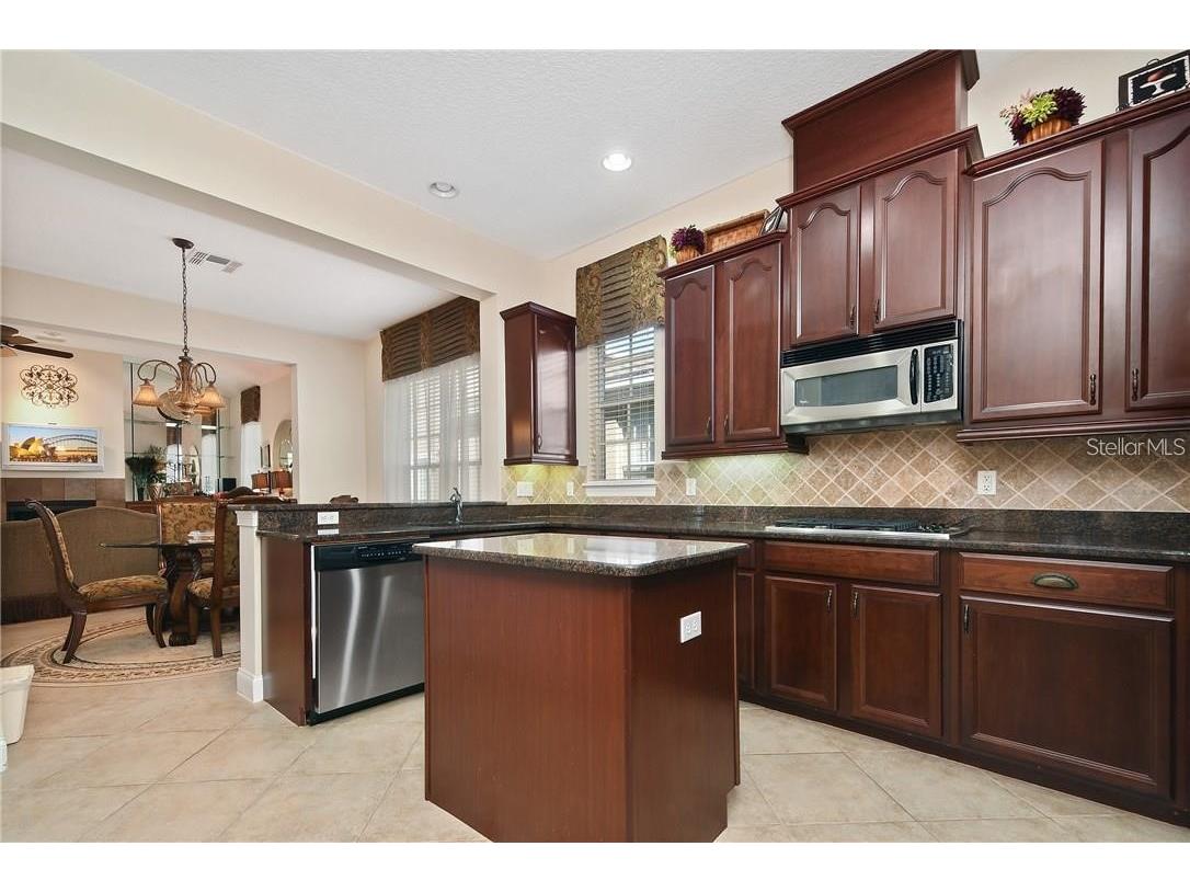 11419 Camden Park Drive Windermere FL 34786 O6392667 image9