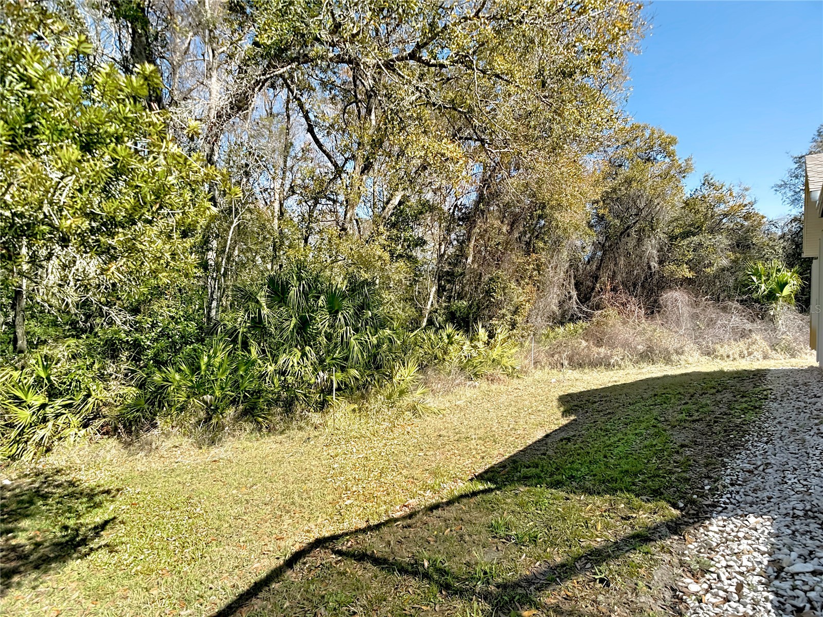 11419 Clear Oak Circle New Port Richey FL 34654 W7883156 image27