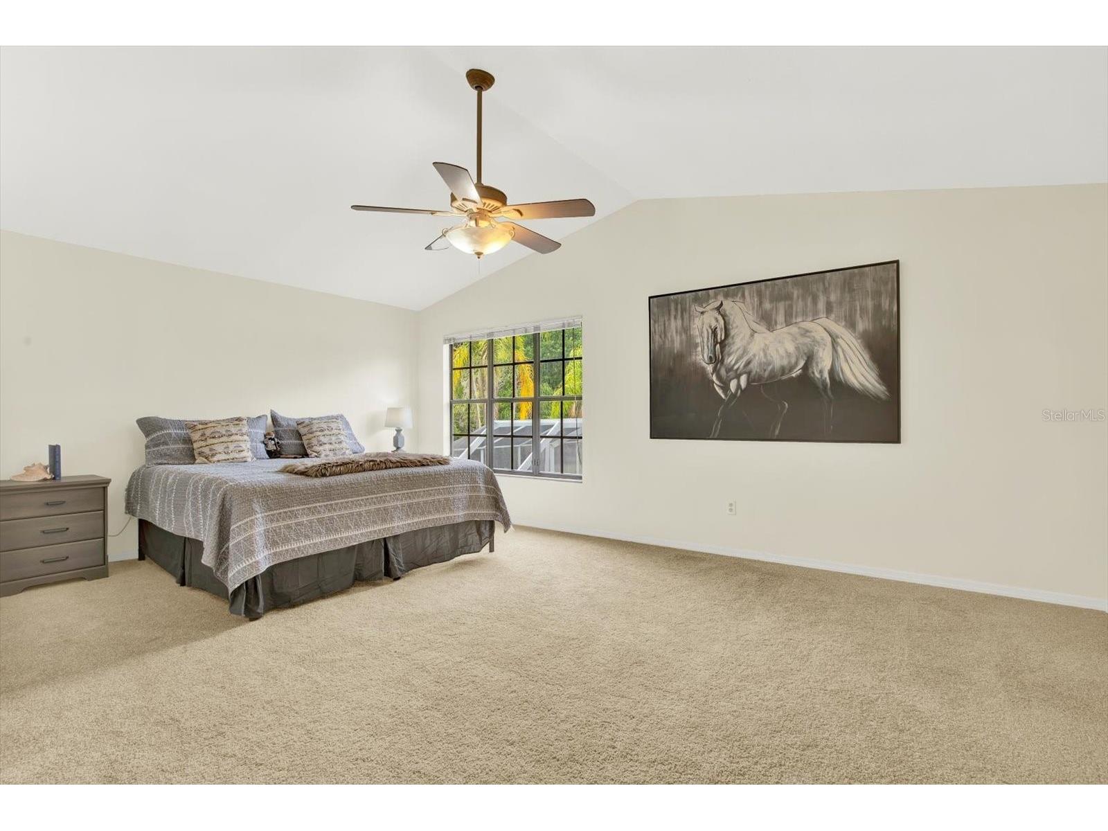 11419 Donneymoor Drive Riverview FL 33569 A4687733 image11